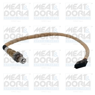 Oxygen Sensor